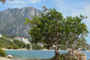 Chorvatsko - Gradac