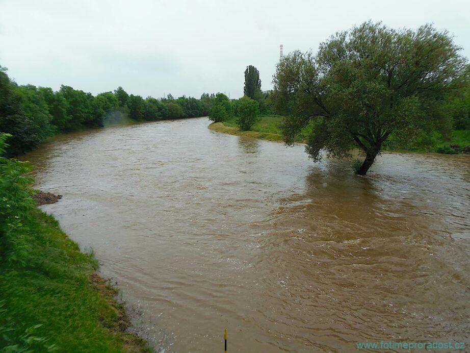Velká voda 2014 - Plzeň