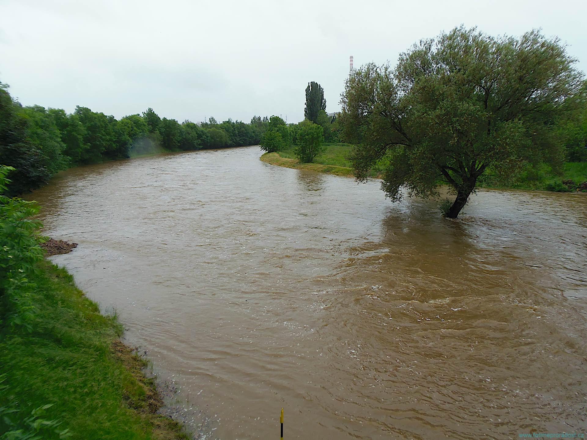 Velká voda 2014 - Plzeň