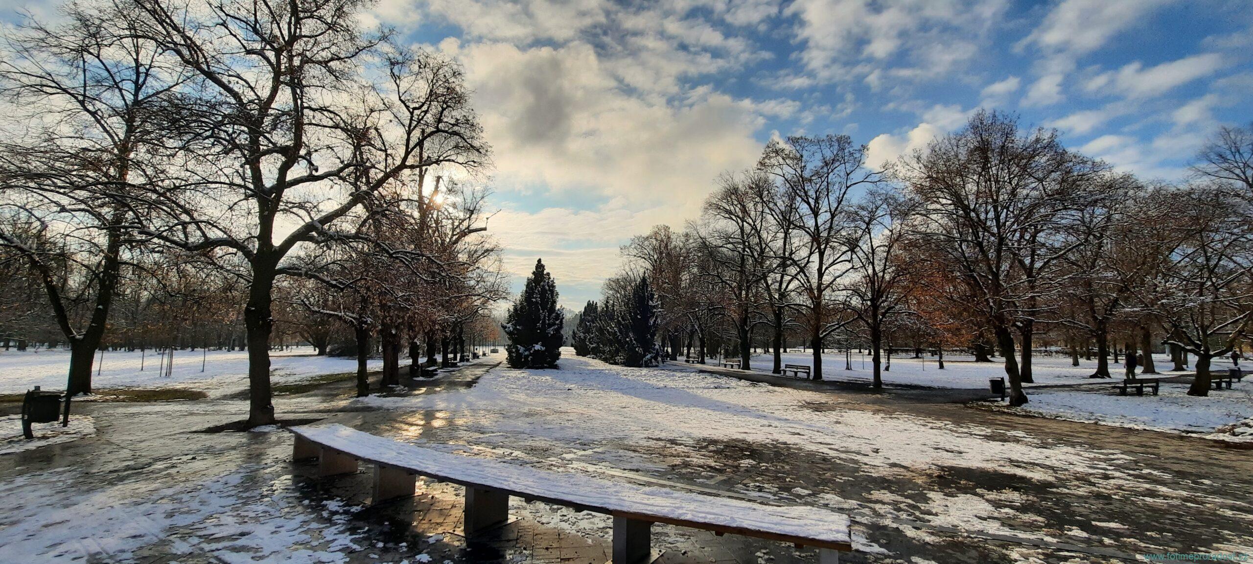 Plzeň - Borský park v zimě